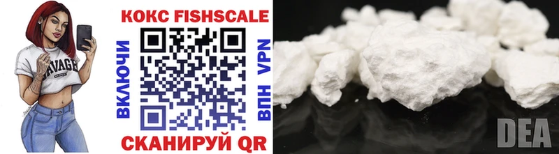 Cocaine Fish Scale  ссылка на мегу   Ярцево  закладки 