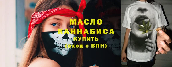 индика Покачи