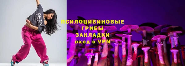 ГАЛЛЮЦИНОГЕННЫЕ ГРИБЫ Алзамай
