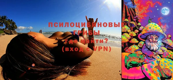 PSILOCYBIN Алексеевка