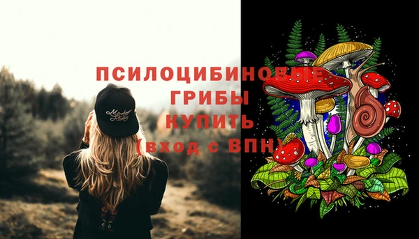 PSILOCYBIN Алексеевка