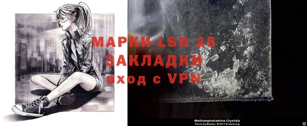 PSILOCYBIN Алексеевка