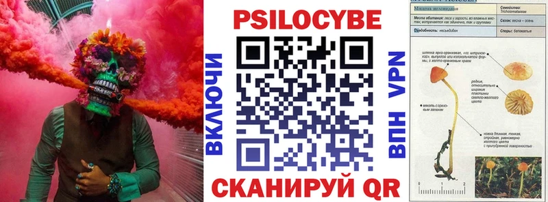 купить  сайты  Ярцево  Псилоцибиновые грибы мицелий 