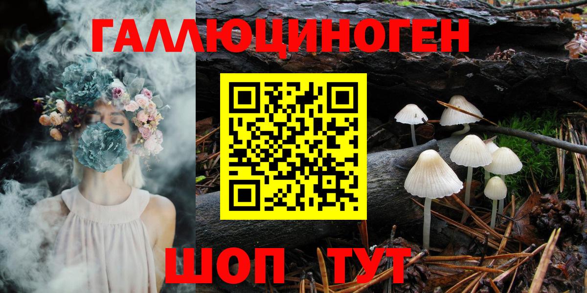 Галлюциногенные грибы Psilocybine cubensis Ярцево