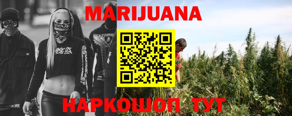 Конопля сатива Ярцево